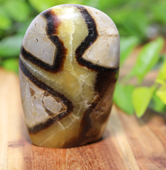 Septarian Geode